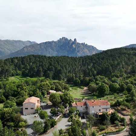 زونزا Les Hauts De Cavanello المظهر الخارجي الصورة